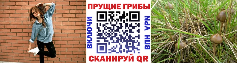 Псилоцибиновые грибы мухоморы  Соликамск 